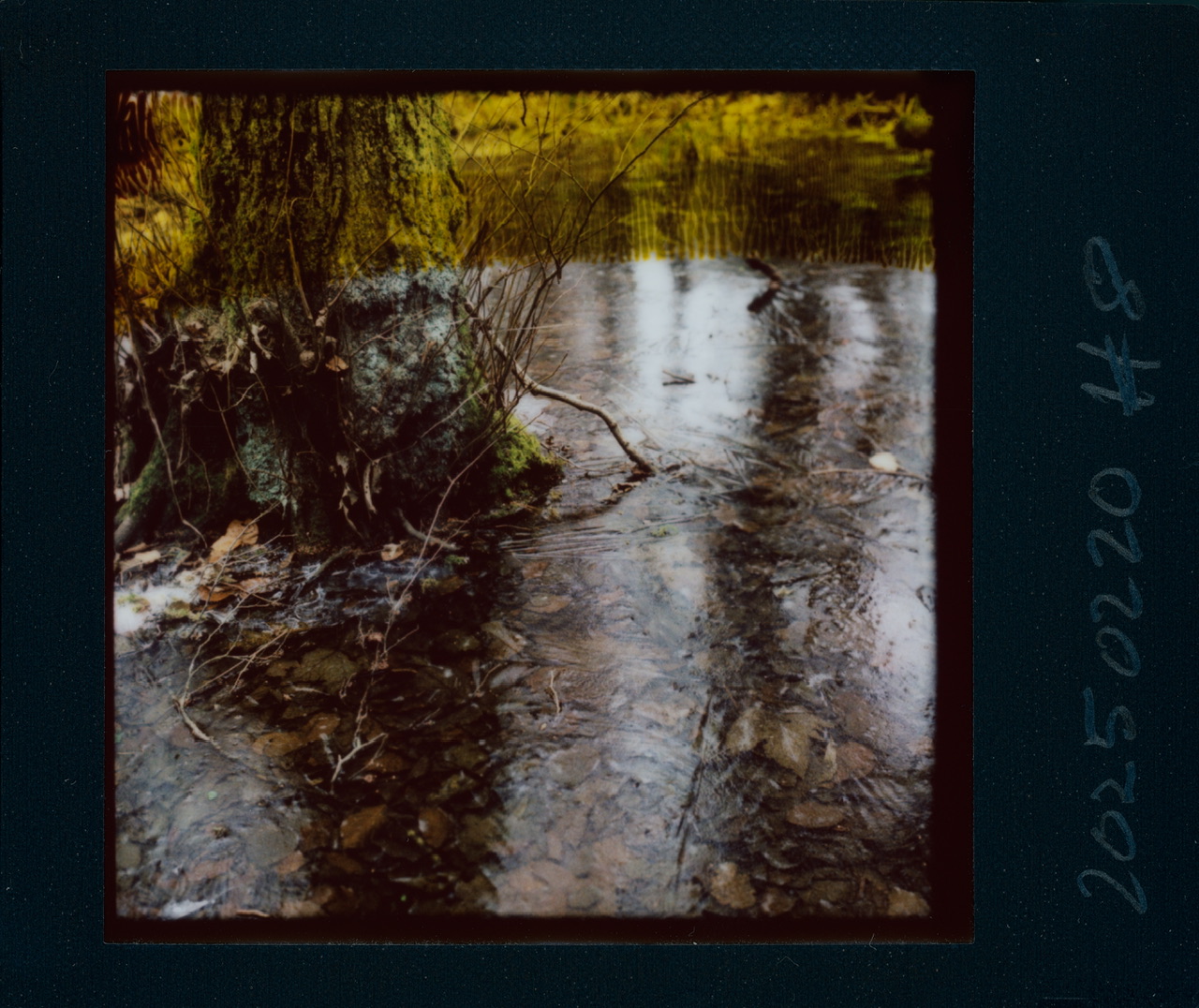 #145
