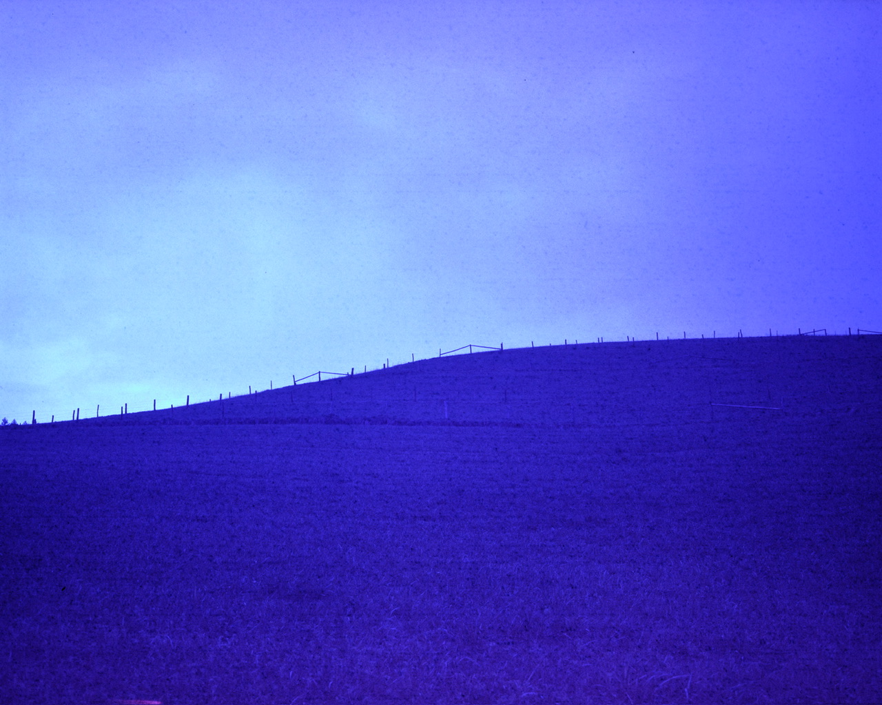 #410