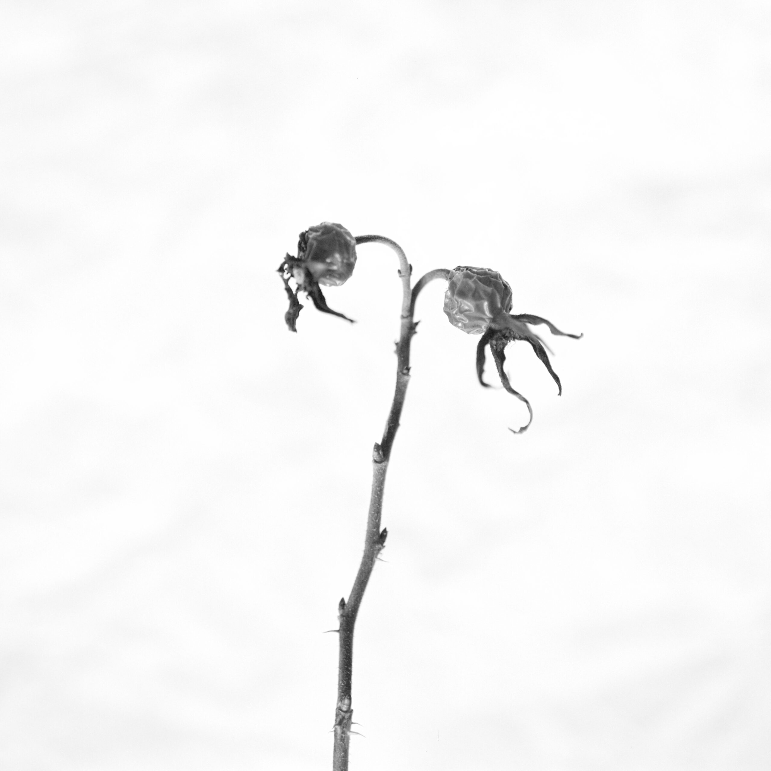 #489