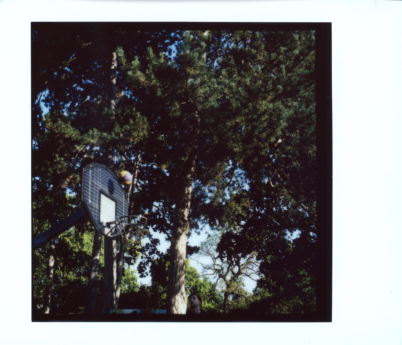 #535
